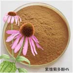 Echinacea extract powder