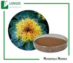 Rhodiola Rosea root Extract