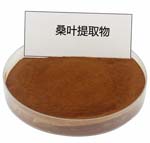 mulberry leaf extract powder