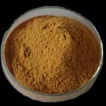 Black tea extract powder