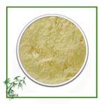 Aloe Extract Powder