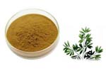 Olive leaf powder