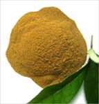 Olive leaf powder