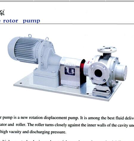 roller-type rotor pump