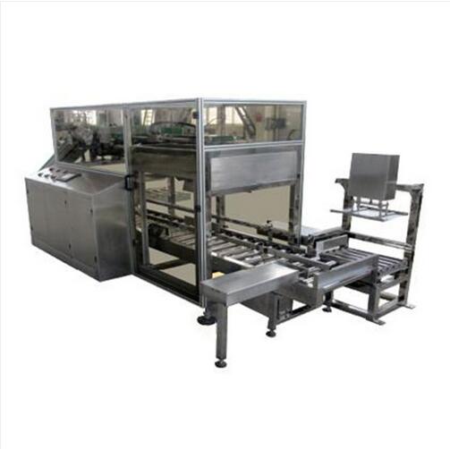 Carton Packing Machine