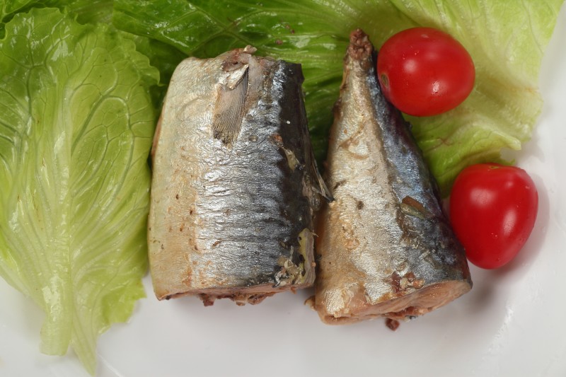 Good quality factory price canned mackerel fish in tomato sauce 