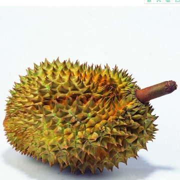 CK559 Durian Flavor