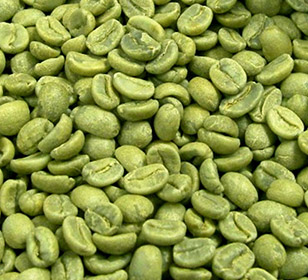 绿咖啡豆提取物