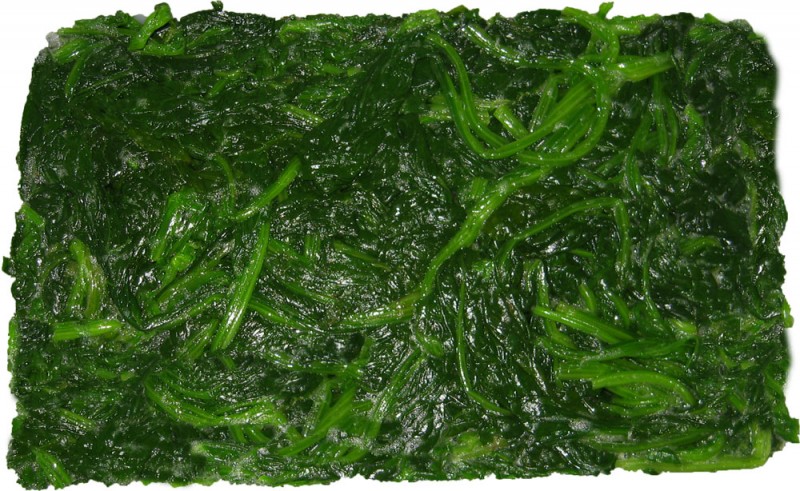 BQF whole leaf spinach