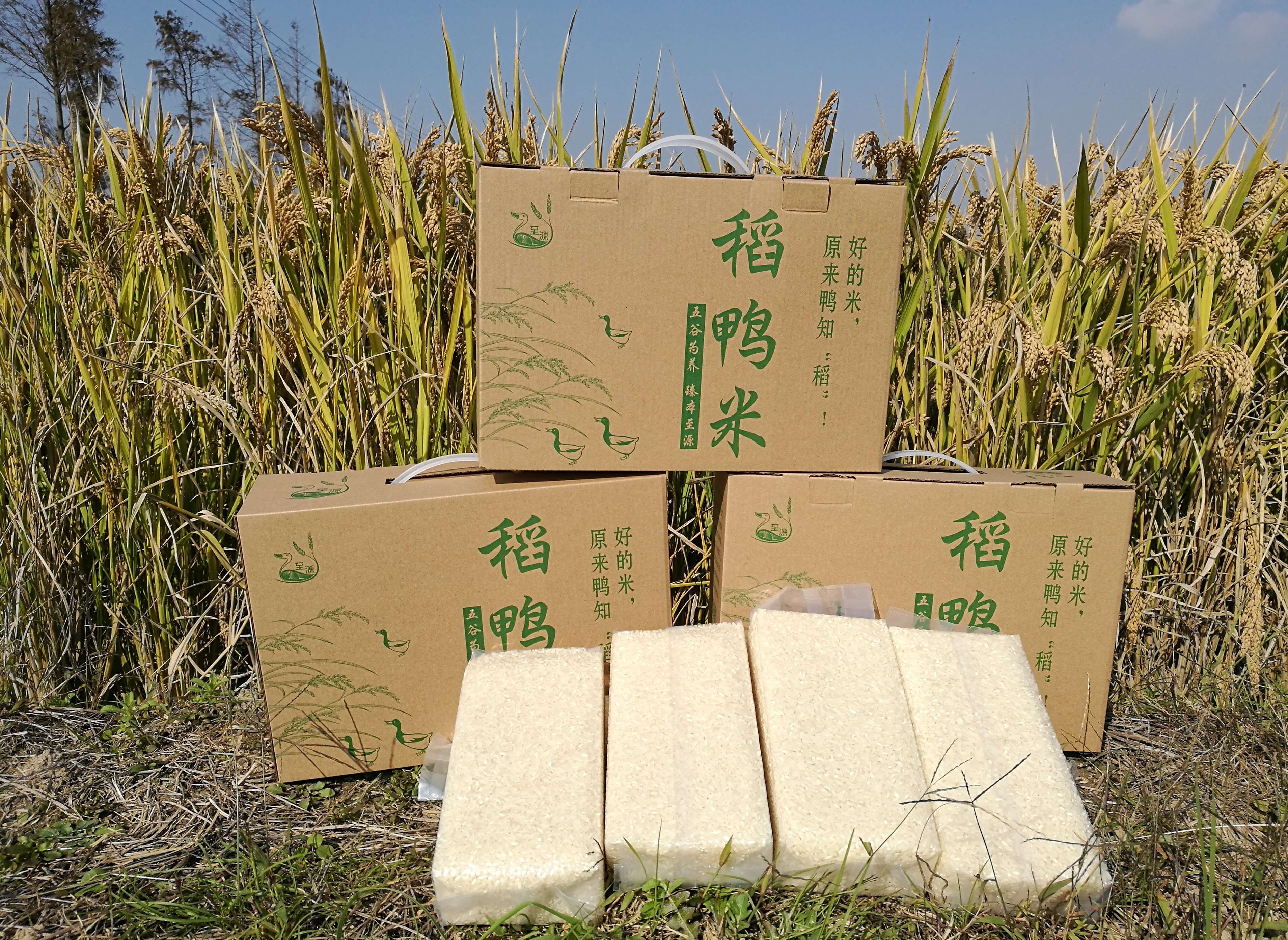 真空包装稻鸭米