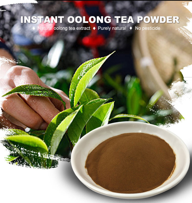 Instant Oolong Tea Powder