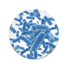 Lactobacillus casei PB-LC39