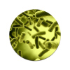 Lactobacillus rhamnosus PB-LR76