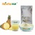 PINEAPPLE POWDER
