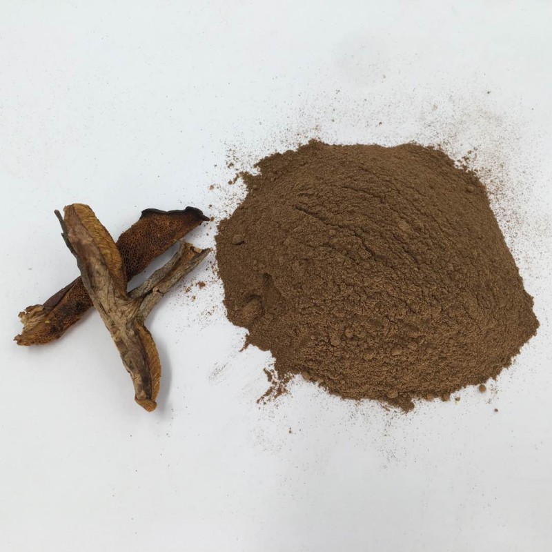 Bolete Powder -Suillus Granulatus Powder