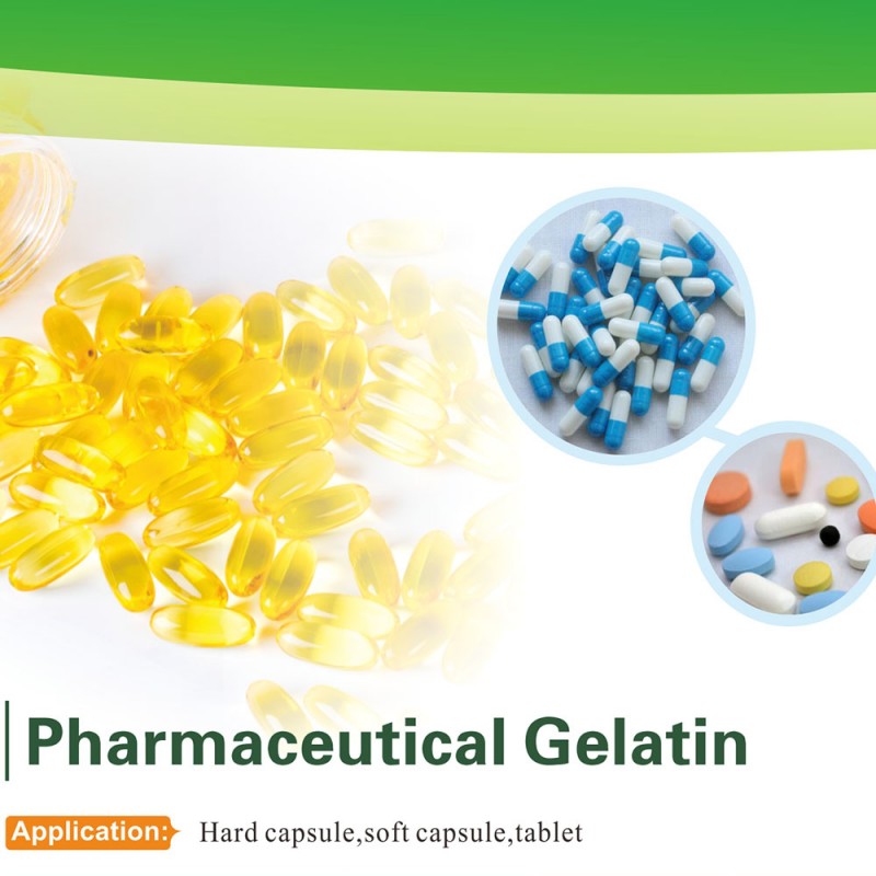 Pharmaceutical Bovine Gelatin