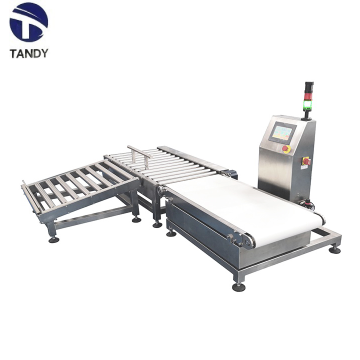 Industrial Food Bag Weighing Scale Check Weigher/Full Auto Weighing Machine