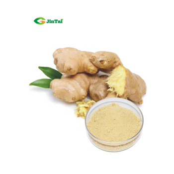 Hot Sell Natural Ginger Extract Powder 1% -20% Gingerol (Water Soluble )