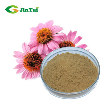 Hot sell Echinacea Extract Powder Echinacea Purpurea Extract 4% Polyphenols