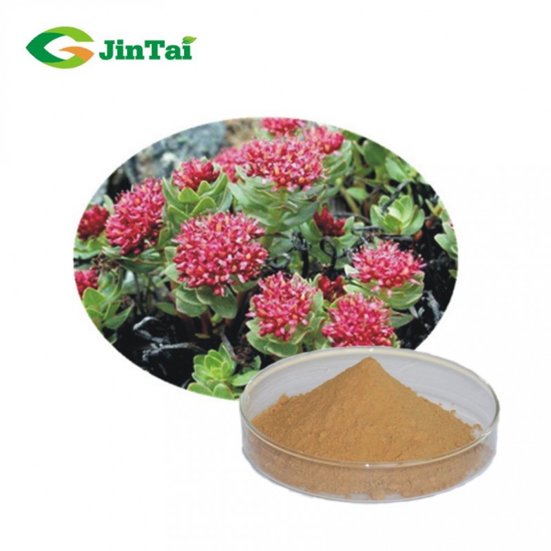 Chinese Herbal Medicine rhodiola rosea las semillas rhodiola extract