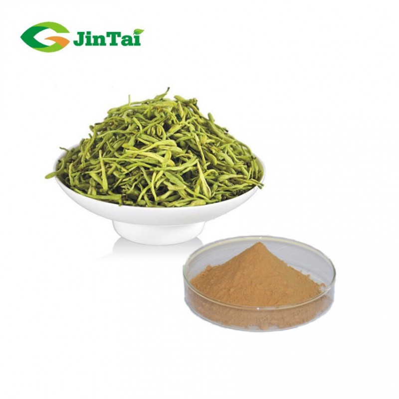 high quality flos lonicerae japonicae lonicera japonica extract