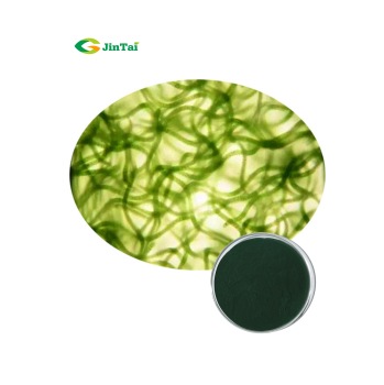 Hot sell High Quality Spirulina Powder