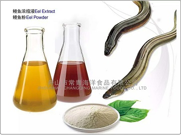 Eel Extract and Powder