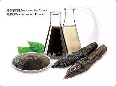 Sea cucumber Extract and Powder