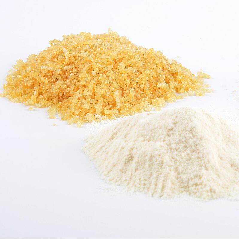China High Quality Fish Skin Gelatin Powder