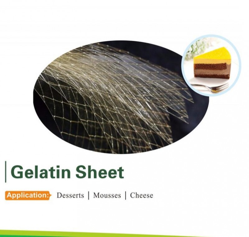 Halal Beef Gelatin Sheet/ Leaf Gelatin for Bakery