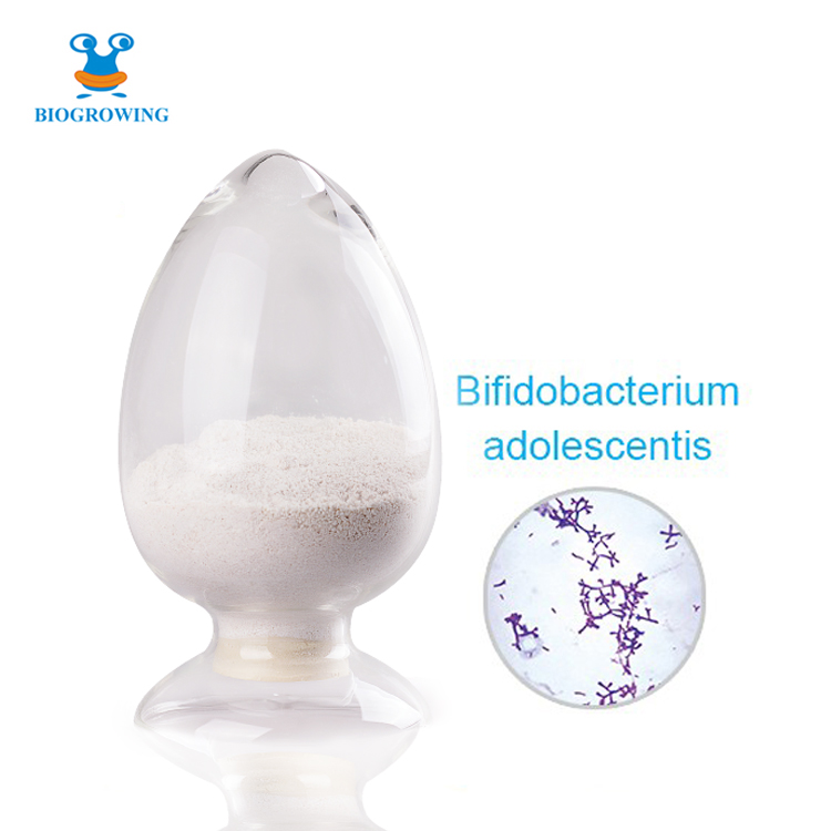 Probiotics powder Bifidobacterium adolescentis