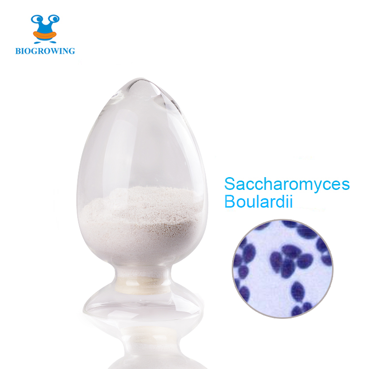Probiotics powder Saccharomyces Boulardii