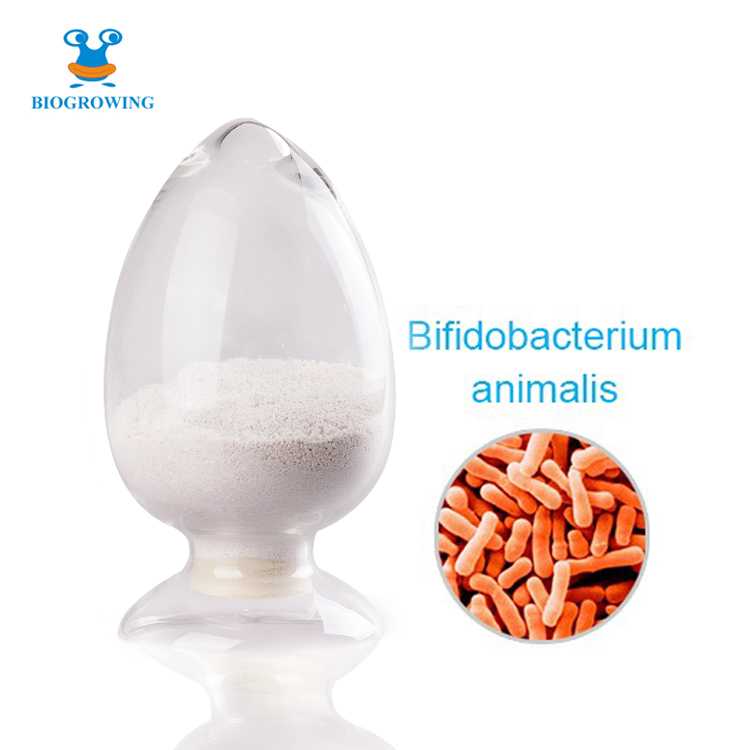 Probiotics powder Bifidobacterium animalis (B.lactis)