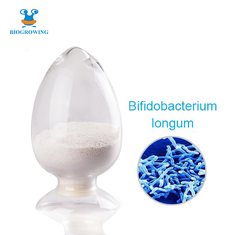 Probiotics powder Bifidobacterium longum