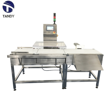 High Accuracy Digital Conveyor Check Weigher For Food Industry