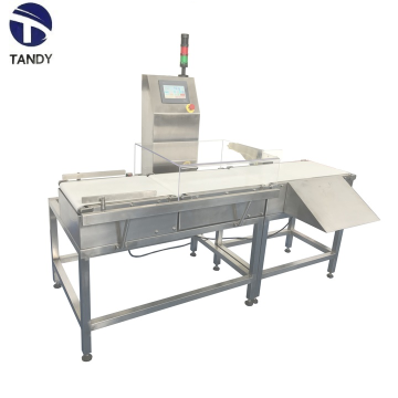 High Accuracy Digital Conveyor Check Weigher For Food Industry