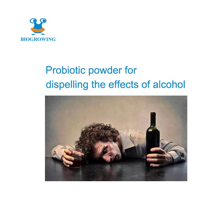 Probiotics Supplement Probiotic Blend Soberbiotix Probiotic Powder for Liver Protection