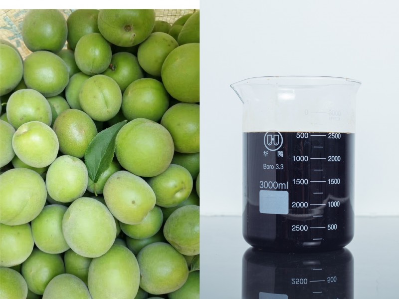 Ume(green plum) extract