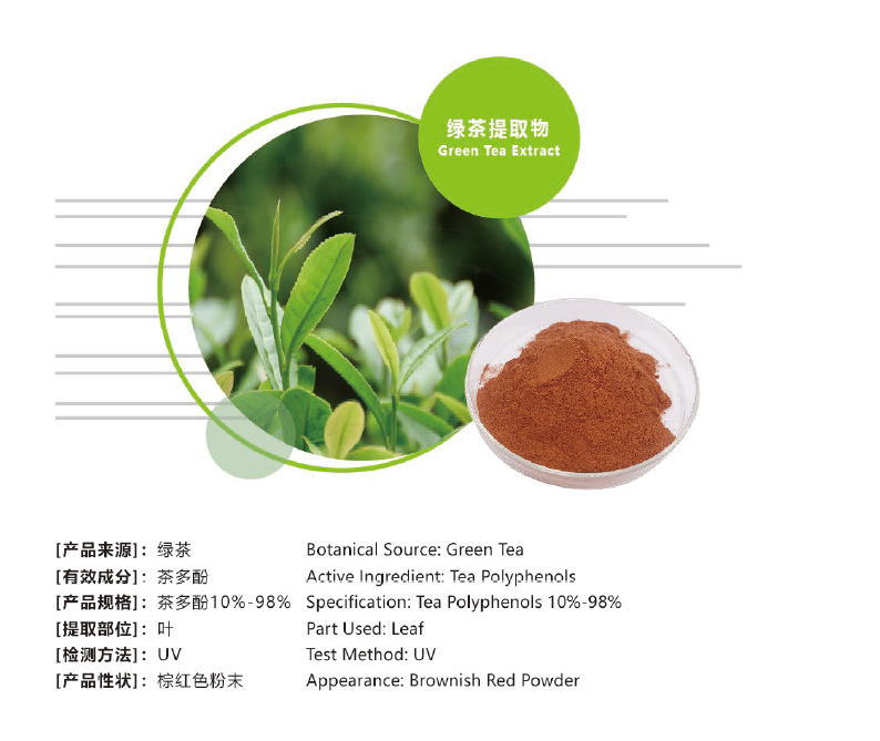 Green Tea Extract (Tea Polyphenols)