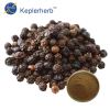 Black Pepper Extract