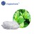 Menthol