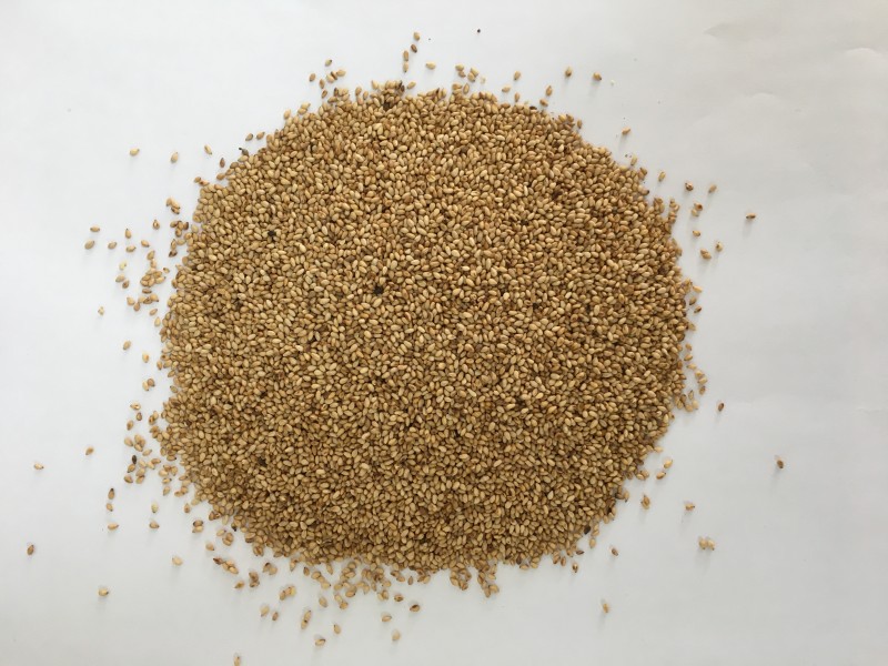 Roasted white sesame seeds (Deeply roasted)