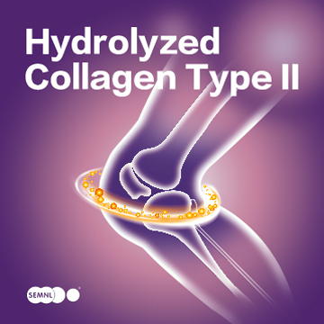 Hydrolyzed Collagen Type II