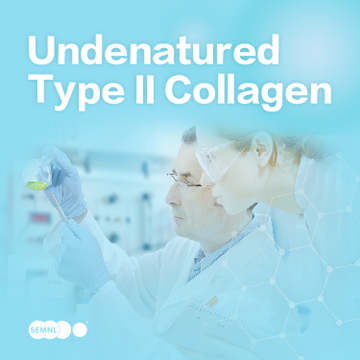 Undenatured Type II Collagen-
