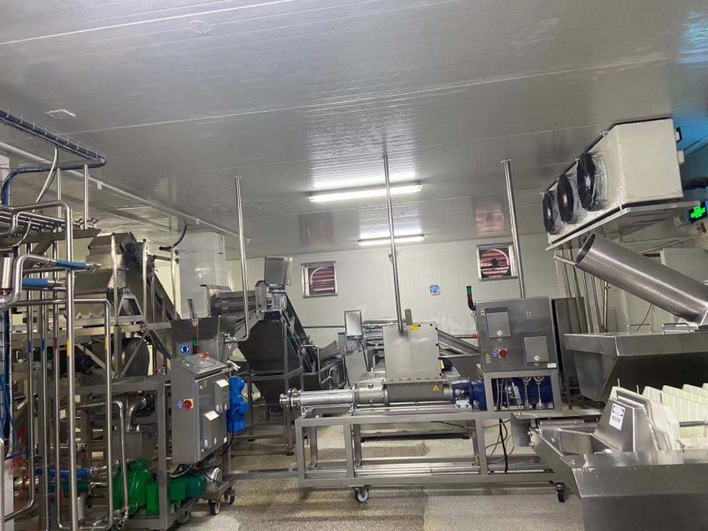 HPP fruit and vegetable juice production line