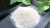 Pea  Fiber