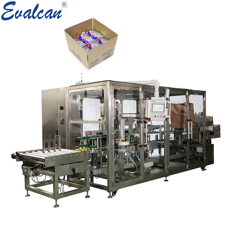 Automatic case packing machine for pouch