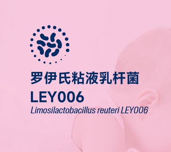 Limosilactobacillus reuteri LEY006