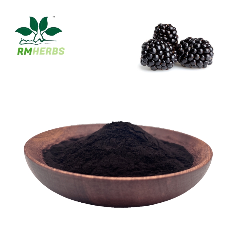 Mulberry Extract Anthocyanidin 25%