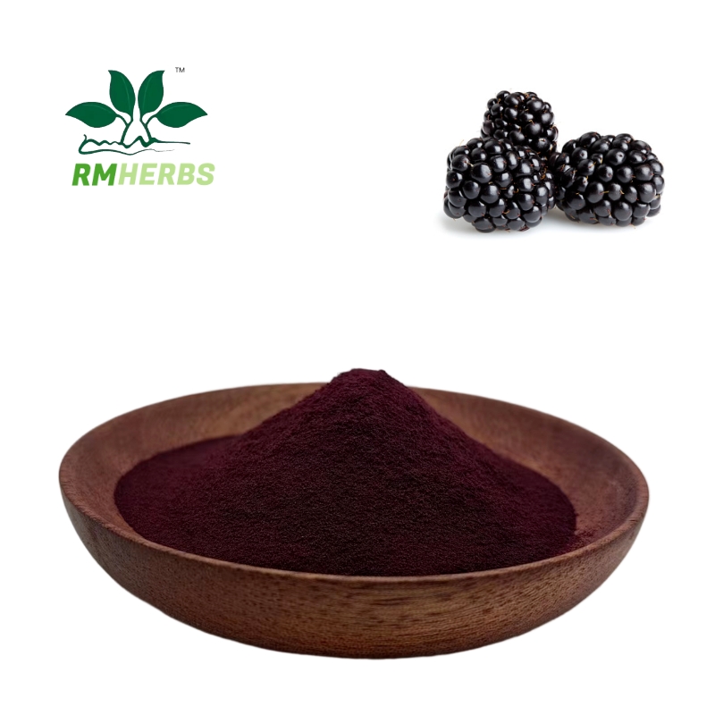 Mulberry Extract procyanidine 25% 